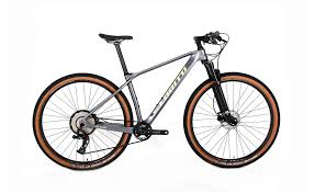 Bicicleta de montaña